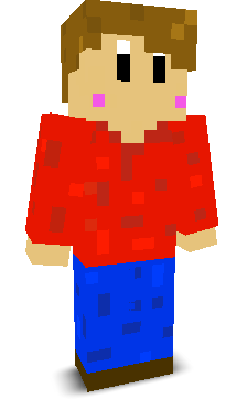 User's Minecraft appearance
