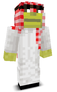 User's Minecraft appearance