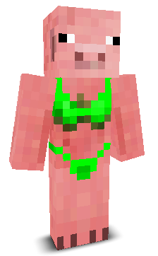 User's Minecraft appearance
