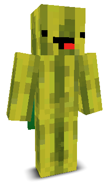 User's Minecraft appearance