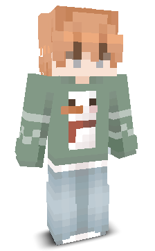 User's Minecraft appearance