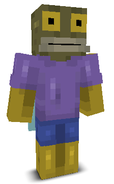 User's Minecraft appearance