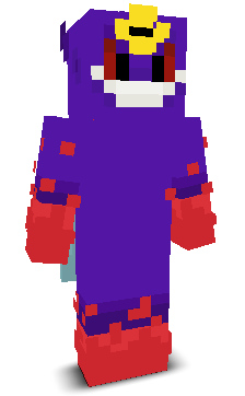 User's Minecraft appearance