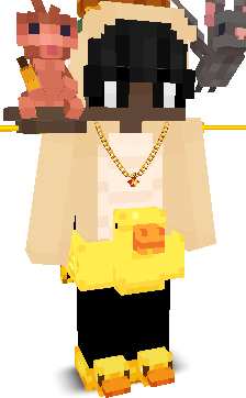User's Minecraft appearance