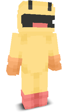 User's Minecraft appearance
