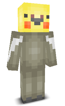 User's Minecraft appearance