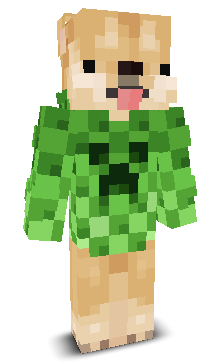 User's Minecraft appearance