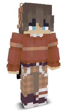 User's Minecraft appearance