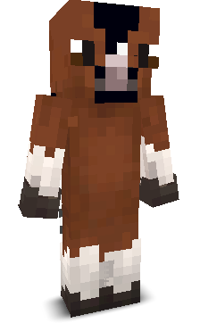 User's Minecraft appearance