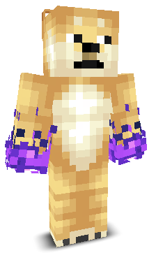 User's Minecraft appearance