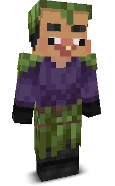 User's Minecraft appearance