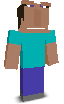 User's Minecraft appearance