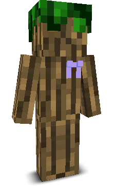 User's Minecraft appearance