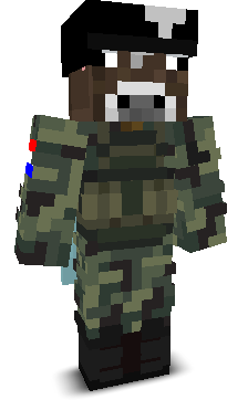 User's Minecraft appearance