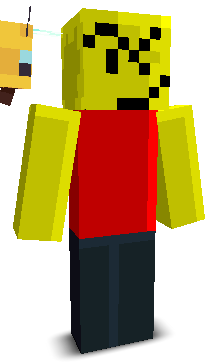 User's Minecraft appearance