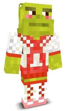 User's Minecraft appearance