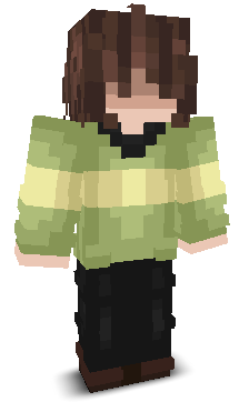 User's Minecraft appearance