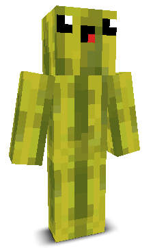 User's Minecraft appearance