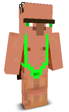 User's Minecraft appearance