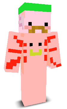 User's Minecraft appearance