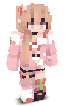 User's Minecraft appearance