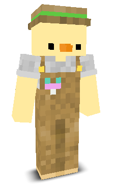 User's Minecraft appearance