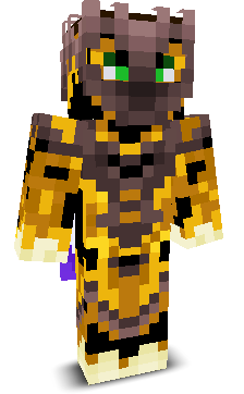 User's Minecraft appearance