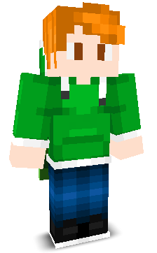 User's Minecraft appearance