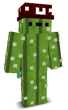 User's Minecraft appearance