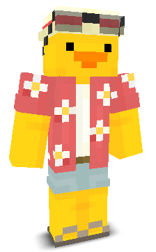 User's Minecraft appearance