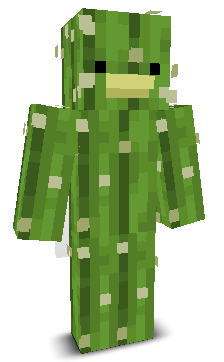 User's Minecraft appearance