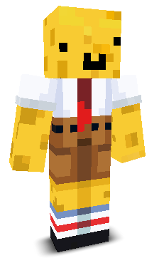 User's Minecraft appearance