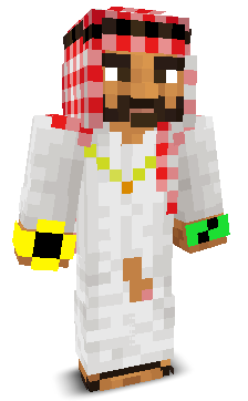 User's Minecraft appearance