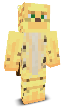 User's Minecraft appearance