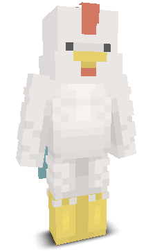 User's Minecraft appearance