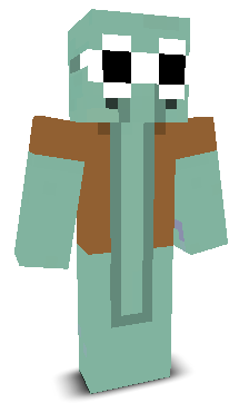 User's Minecraft appearance