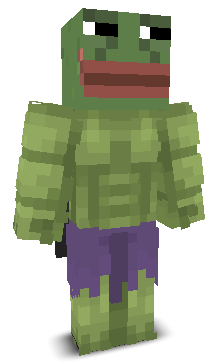 User's Minecraft appearance