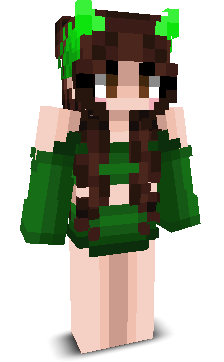 User's Minecraft appearance