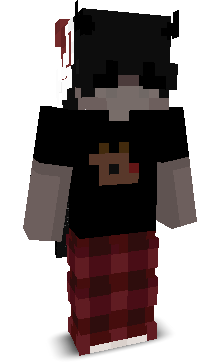 User's Minecraft appearance