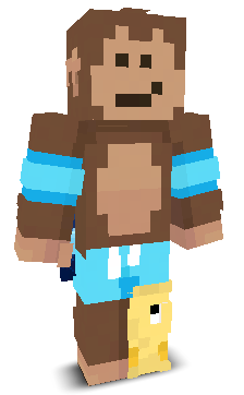User's Minecraft appearance