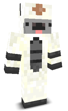 User's Minecraft appearance
