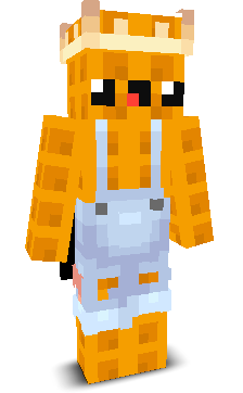 User's Minecraft appearance