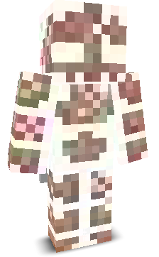User's Minecraft appearance