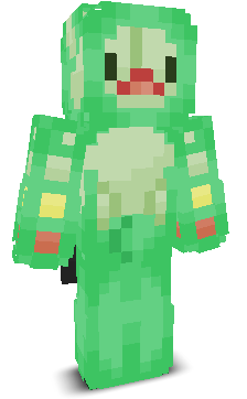 User's Minecraft appearance