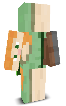 User's Minecraft appearance
