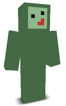 User's Minecraft appearance