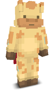 User's Minecraft appearance