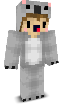 User's Minecraft appearance