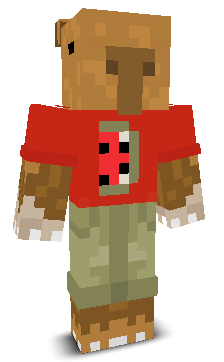 User's Minecraft appearance