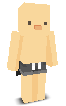 User's Minecraft appearance